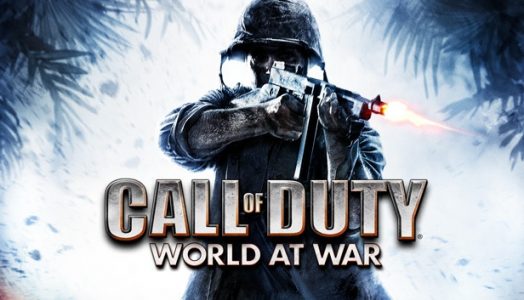 Call of Duty: World at War Steam GLOBAL