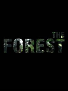 The Forest Steam - Enjify