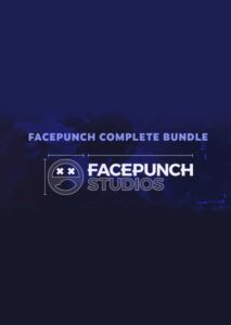 Facepunch Complete Bundle Steam Global - Enjify