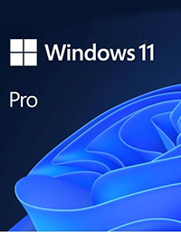 Microsoft Windows 11 Professional (OEM)
