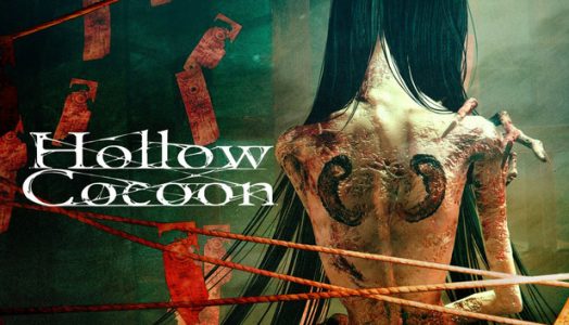 Hollow Cocoon Steam