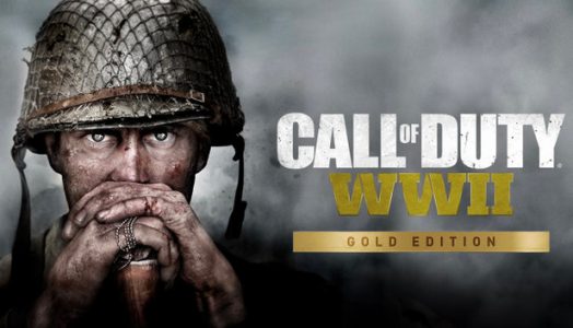Call of Duty: WWII Gold Edition (PSN) PS4