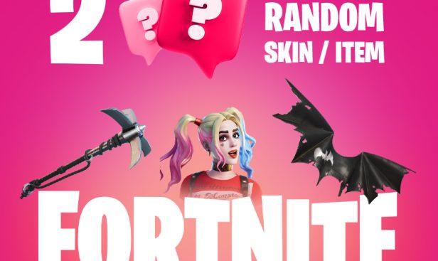 _2-random-skin-fortnite-800