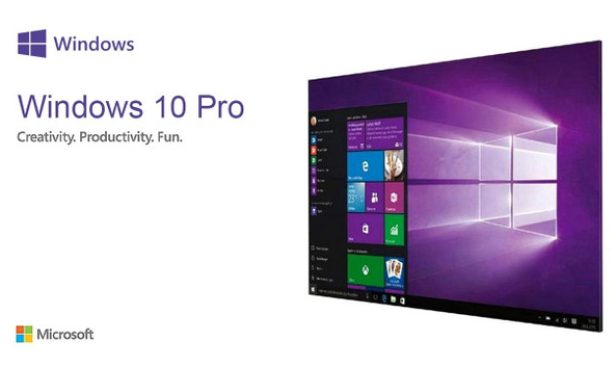 windows-10-pro-pro-pc-jeu-microsoft-store-cover